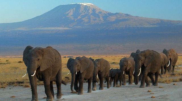 Amboseli